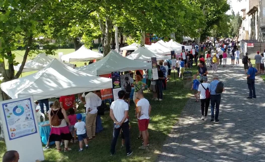 Gli stand di Viceversa con i visitatori che esplorano gli esperimenti