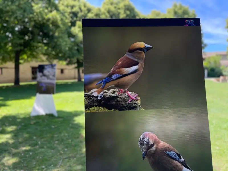 Incontro con la natura