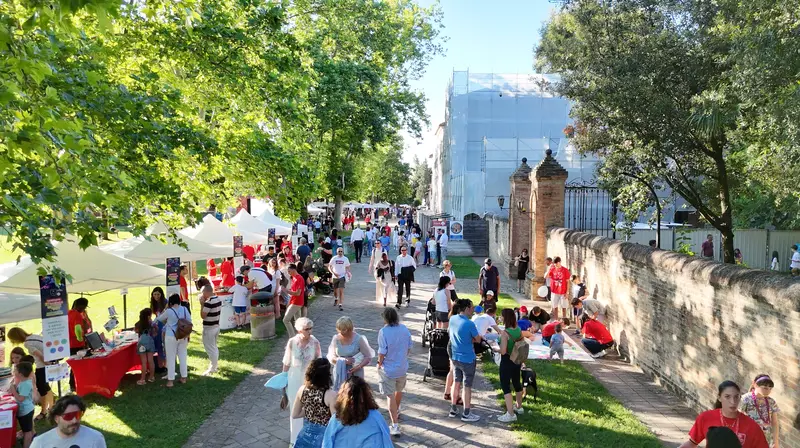 Pubblico tra gli alberi