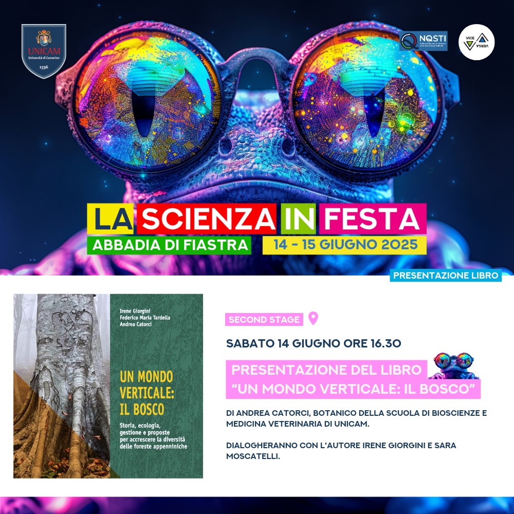 Immagine evento