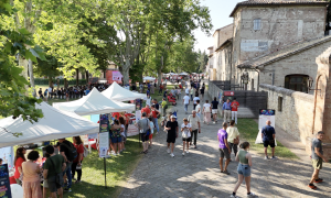 Pubblico Abbadia
