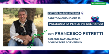 Locandina